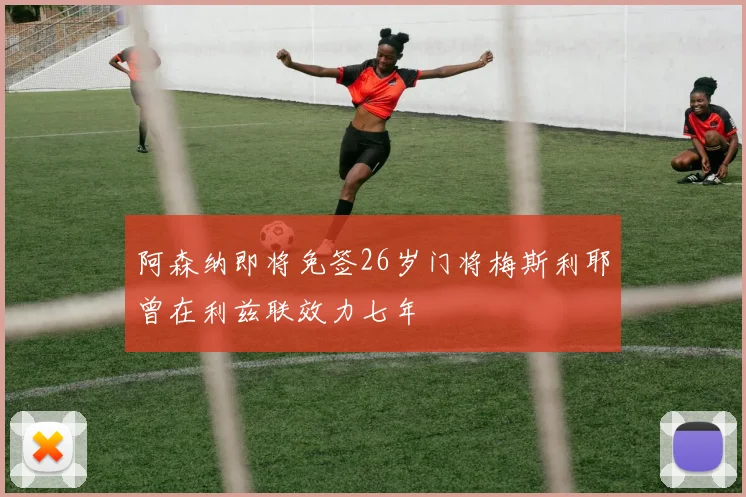 阿森纳即将免签26岁门将梅斯利耶曾在利兹联效力七年